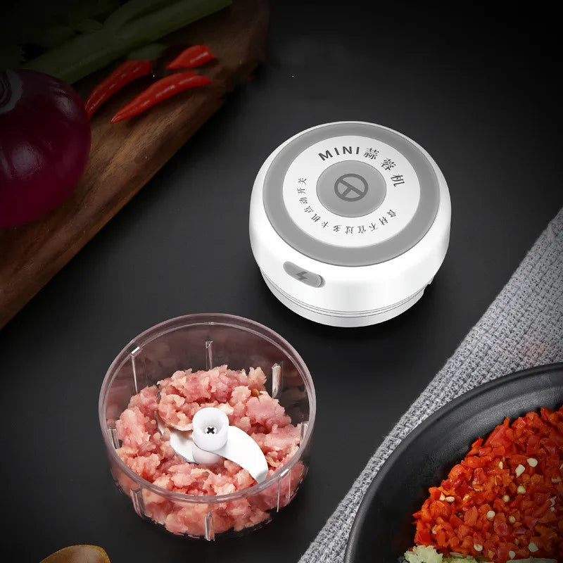 100/250mL Mini Electric Garlic Chopper Vegetable Chili Meat Ginger Masher Machine Sturdy Durable USB Charging Blenders